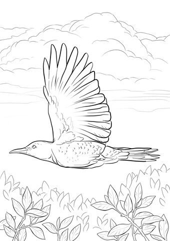 Yellowhammer Flying Coloring Page